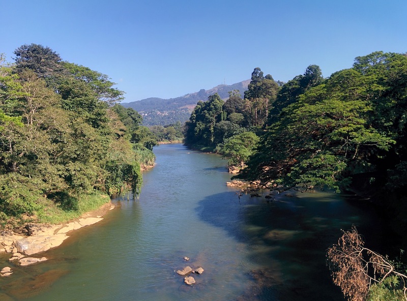 The Botanic Gardens in Kandy