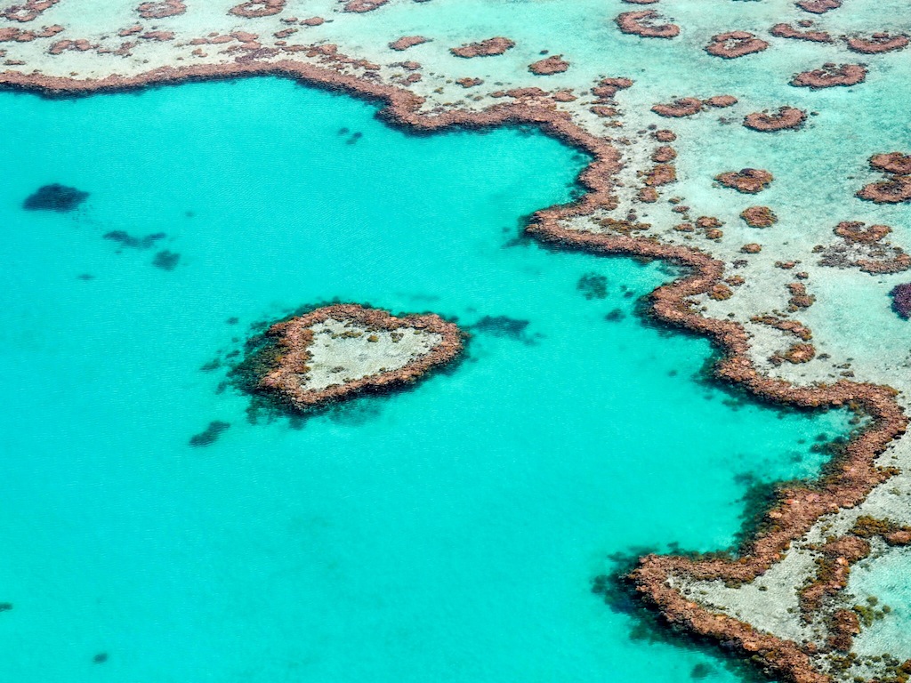 The Best Experiences At The Great Barrier Reef