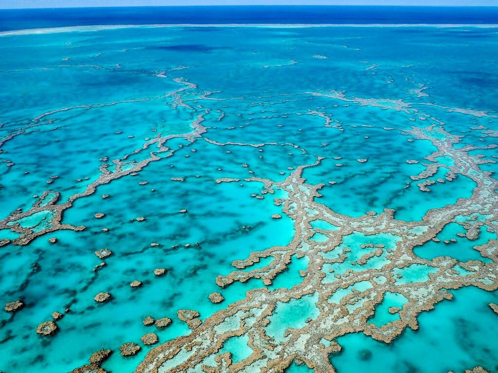 Staggering sight - The Great Barrier Reef from above