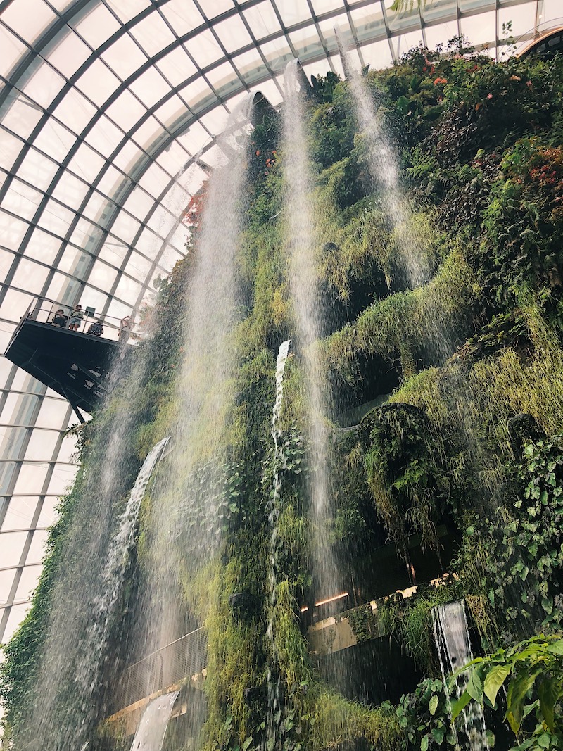Cloud Forest Gardens By The Bay Singapore