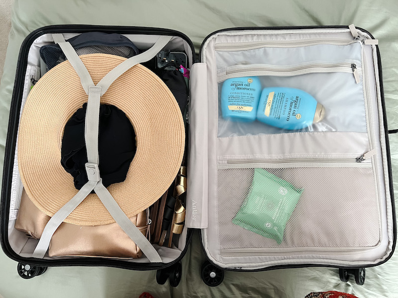 Antler luggage review