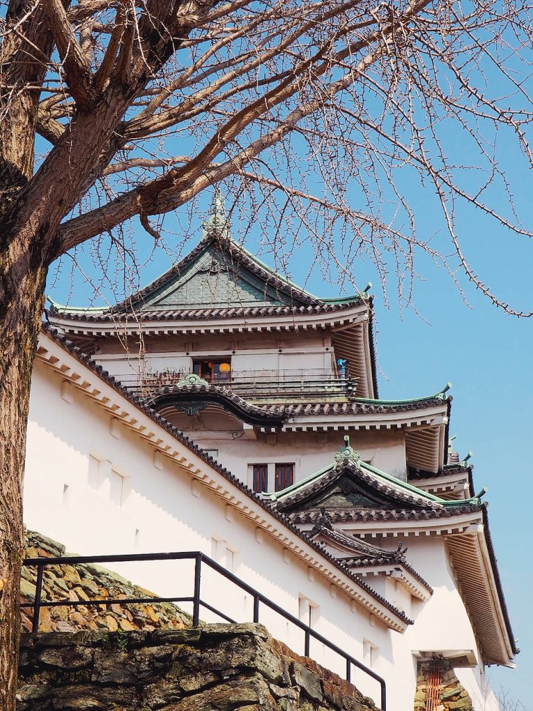 Japan’s Best Kept Secret: Wakayama Travel Guide