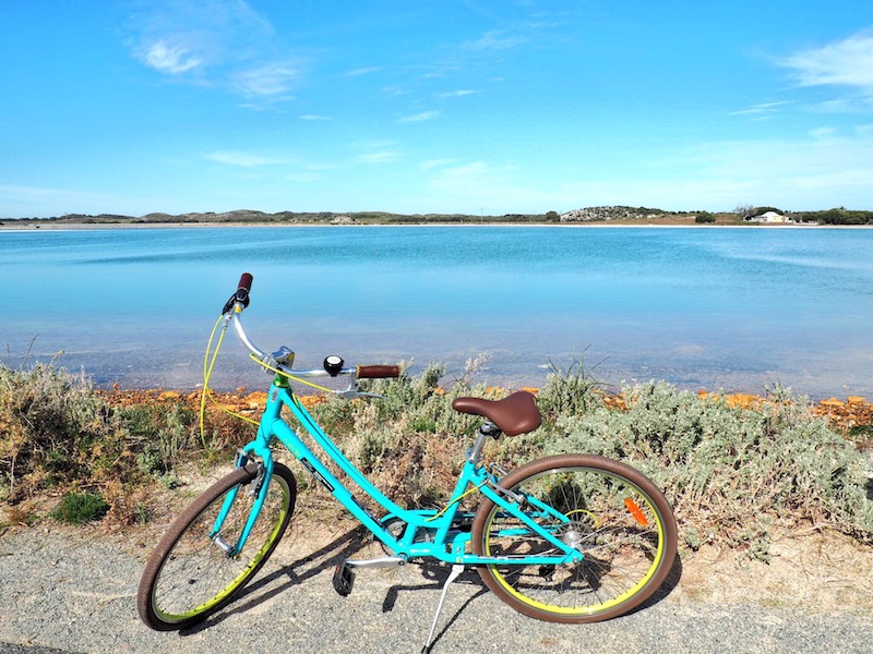 Riding Rotto – Daytrip to Rottnest Island, Western Australia