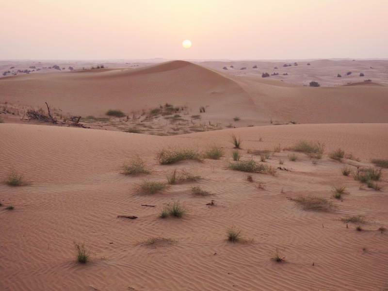 Arabian Adventures Desert Safari